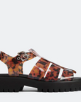 FREDA SALVADOR TORTOISE PVC