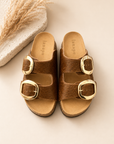 Pair of brown sandals with gold buckles on a light background