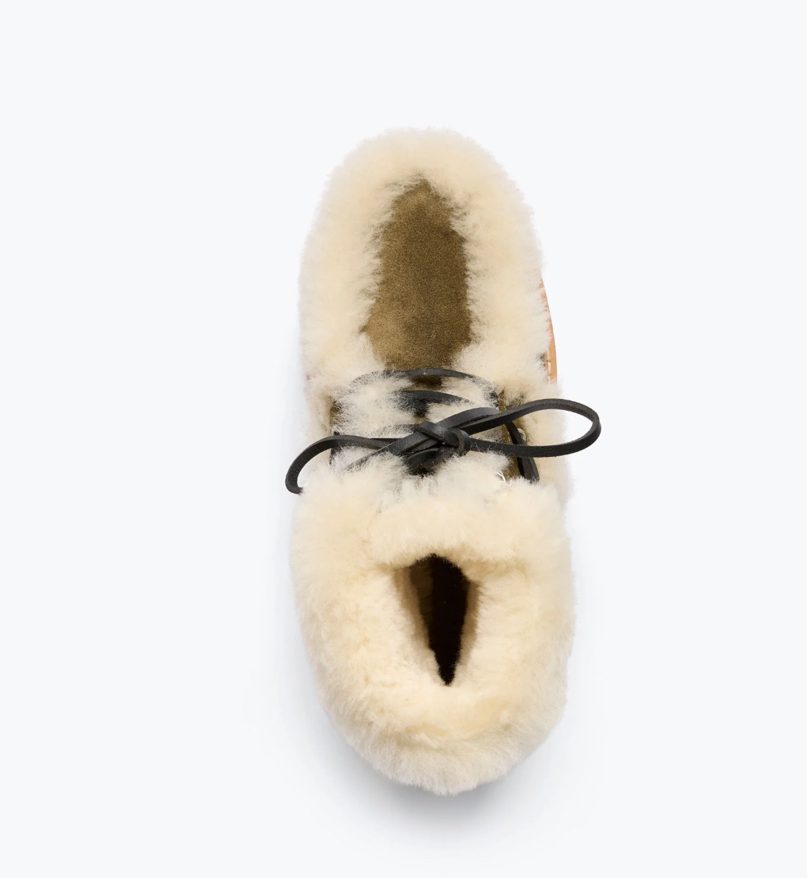 TOP VIEW FREDA_SALVADOR_DAKOTA_SHEARLING_MOSS SUEDE 
