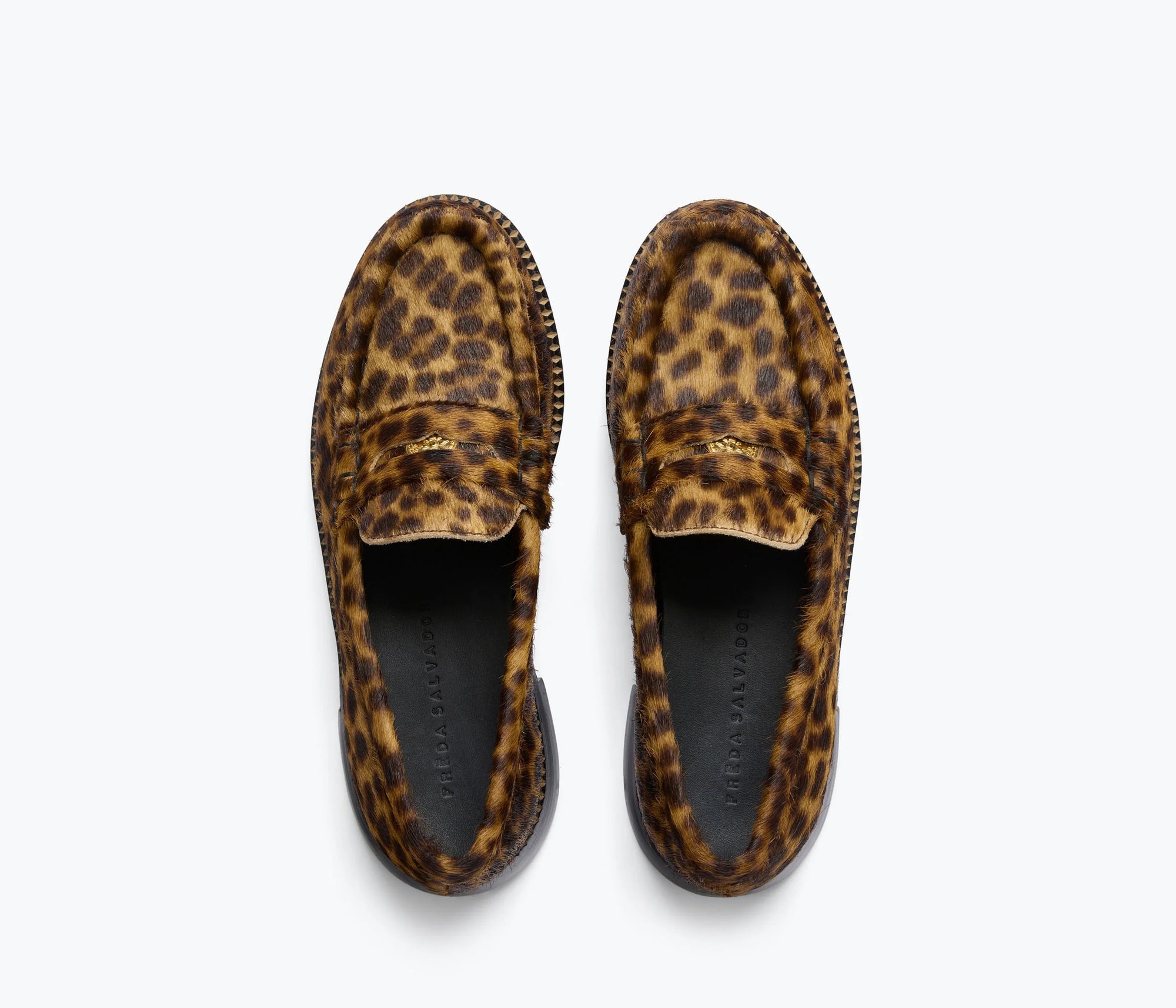 freda salvador leopard elba